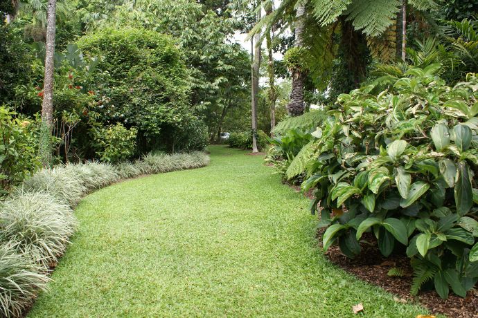 Cairns Botanic Gardens