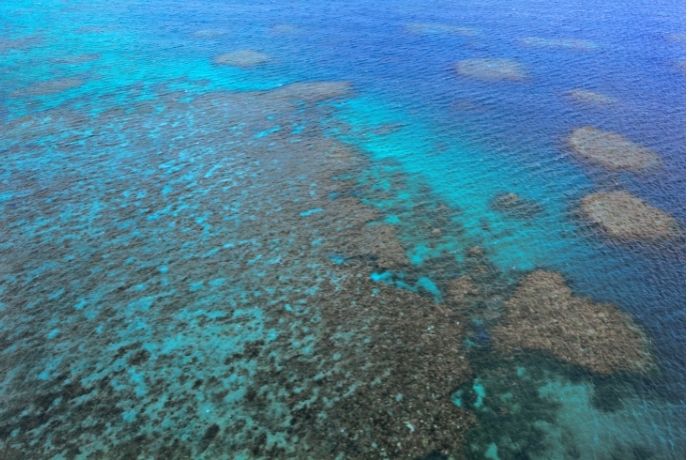 Moore Reef off Cairns