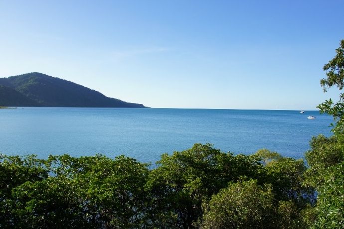 Where the rainforest meets the reef - Cape Tribulation
