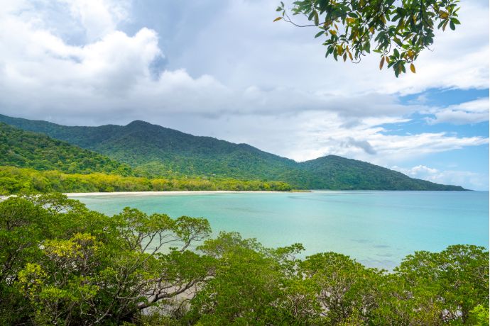 Where the Forest meets the Sea, Cape Tribulation